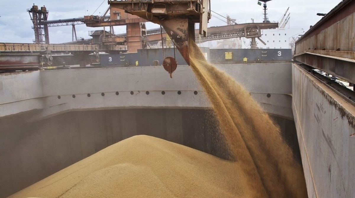 Туреччина також купує українське зерно, яке вкрала Росія, – посол